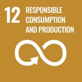 footer.sdg12